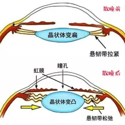 t01298d1d313fd6b3b1.jpg